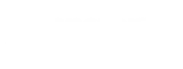 Transfer Master Logo